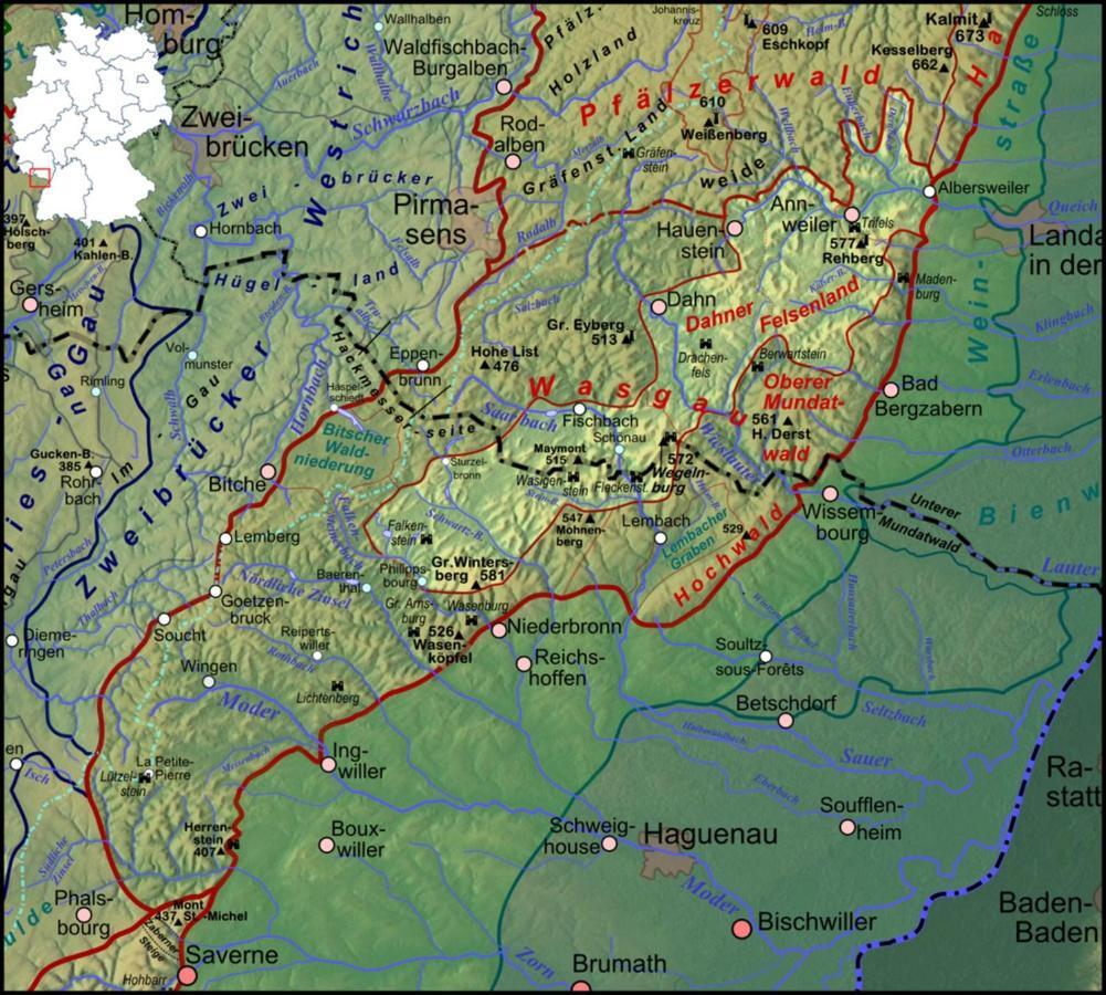 Fewo Pfaelzer Felsenlandschaft 皮尔马森斯 外观 照片